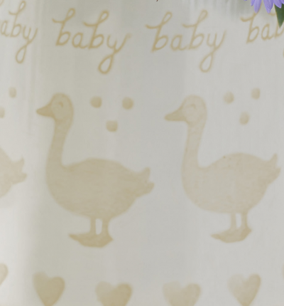 Little Duckling Watering Can Cream with Bailey Bear