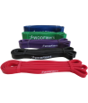 WODFitters (TM) Pull Up Bands