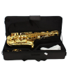 Professional Alto Eb Saxophone sax with Mouthpiece Reed Case