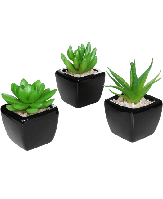 Set of 3 Modern Home Decor Mini Succulent