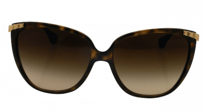D&G DD8096 Sunglasses Havana