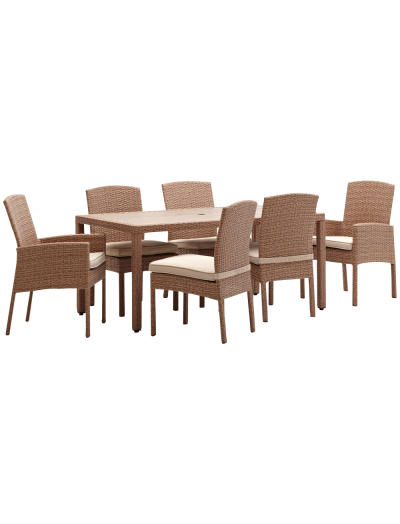 Wicker and Resin Dining Table