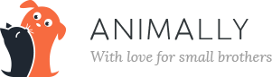 pets and animals