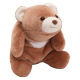 Teddy Bear Stuffed