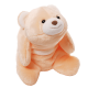 Teddy Bear Stuffed