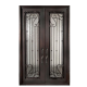 Painted Bronze Decorative Wrought Iron Prehung Front Door