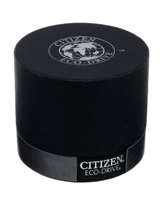 Citizen Men's BL5250-02L Titanium Eco-Drive Watch with Leather Band