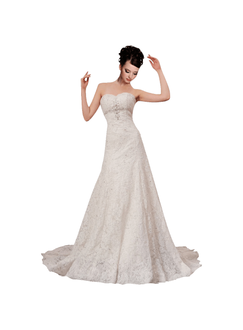 Strapless Ball Gown In Lace Beading Dress