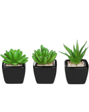 Set of 3 Modern Home Decor Mini Succulent