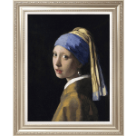 Girl With A Pearl Earring Johannes Vermeer Classic Art Reproduction
