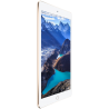 Apple iPad Air 2 MH0W2LL-A 16GB Wi-Fi Gold